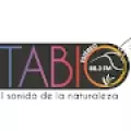 TABIO ESTEREO - FM 88.3